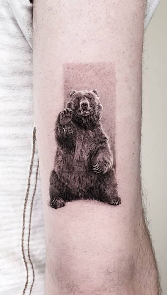 Brown bear Black and white Polar bear Tattoo Drawing, polar bear, white,  mammal png | PNGEgg