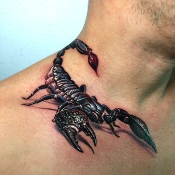 Scorpion tattoo 🦂 Designed and tattooed By @rakeshnalliboina At  @7devils_tattoo For appointments : 9347179138 #scorpion #scorpion... |  Instagram
