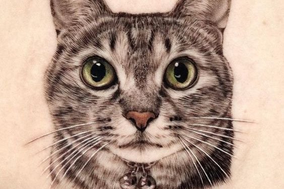 Cat tattoo