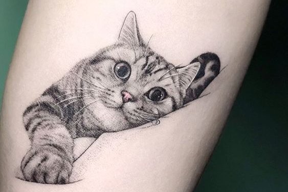 Cat tattoo