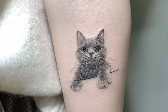 Cat tattoo