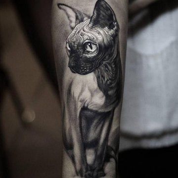 Cat tattoo